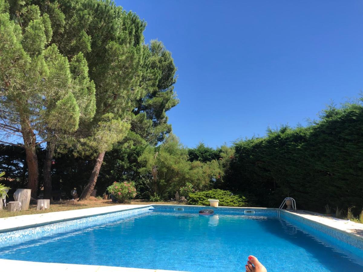 Le Paradis D'Anny Rouffiac-d'Aude エクステリア 写真